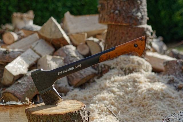 Sekatory, łopaty, grabie – przegląd narzędzi ogrodniczych Fiskars 3 ax-3529453_640.jpg