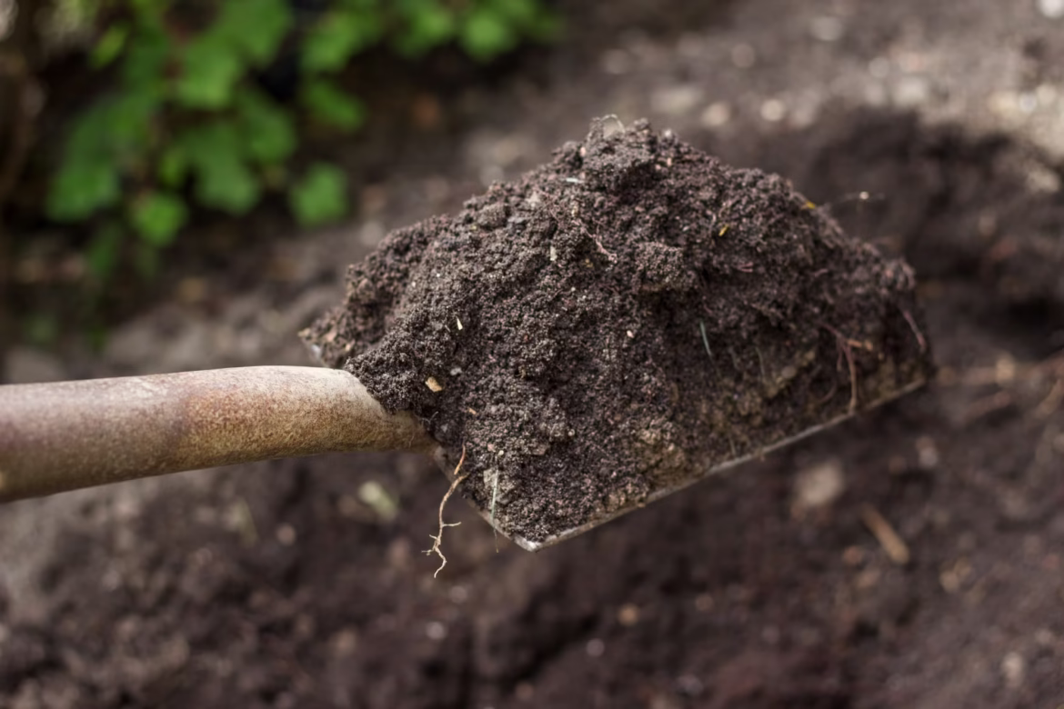 Ile waży litr ziemi – kompletny przewodnik przeliczania objętości na masę